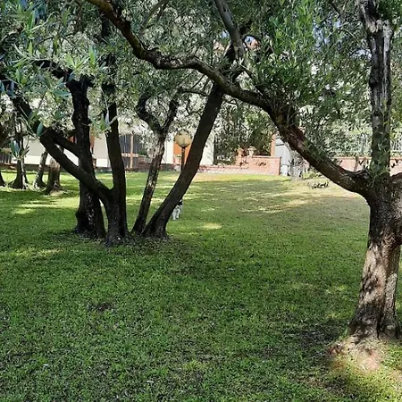 La Teodolinda 阿雷佐