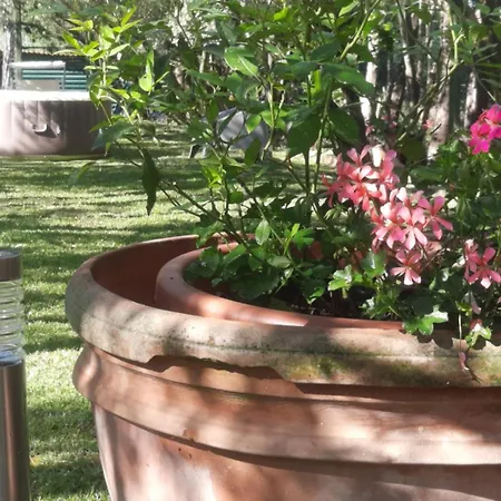 La Teodolinda